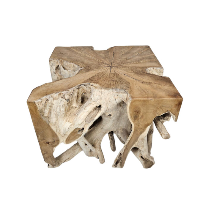 1-Teak-Organic-Root-Coffee-Table.jpg