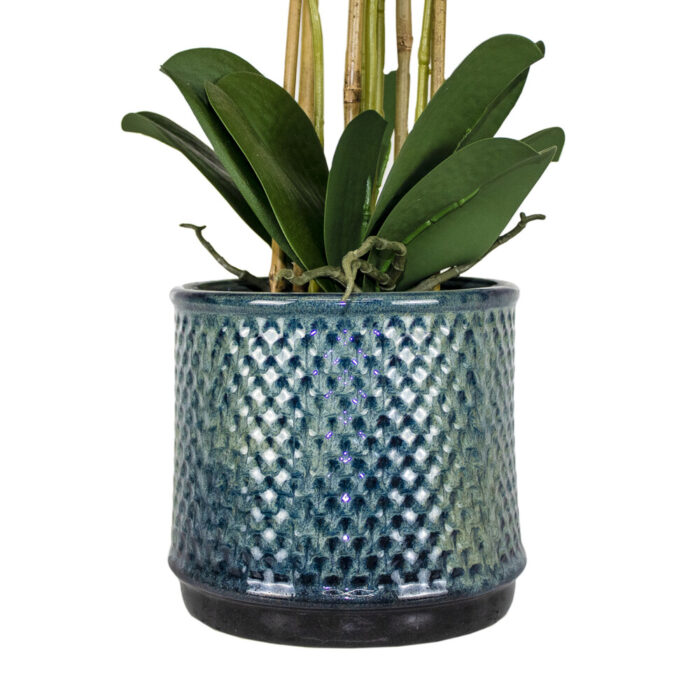 12-1-18.jpg 12-1-18.jpg