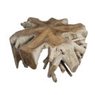 12-Teak-Organic-Root-Coffee-Table.jpg
