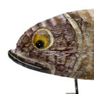 125.jpg