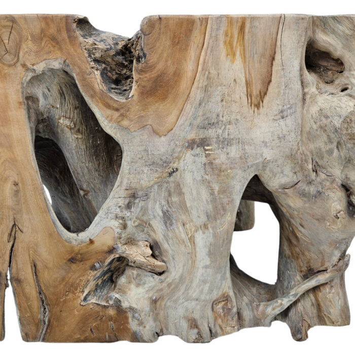 14-Teak-Organic-Root-Coffee-Table.jpg