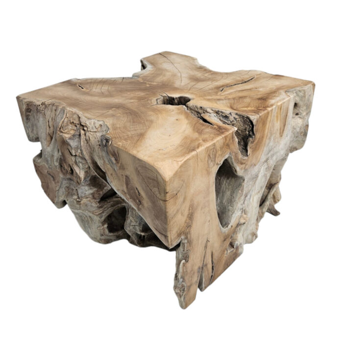 16-Teak-Organic-Root-Coffee-Table.jpg