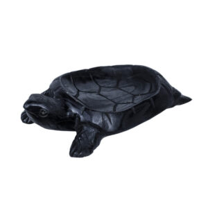 Carved Wooden Turtle Bowl