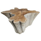 24-Teak-Root-Star-Side-Table.jpg