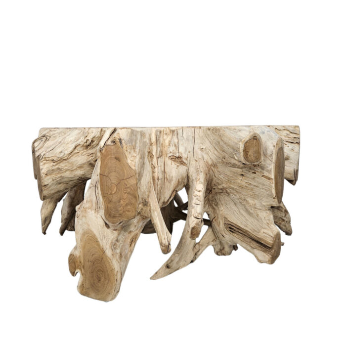 26-Round-Block-Teak-Root-Coffee-Table.jpg