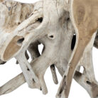 3-Teak-Organic-Root-Coffee-Table.jpg