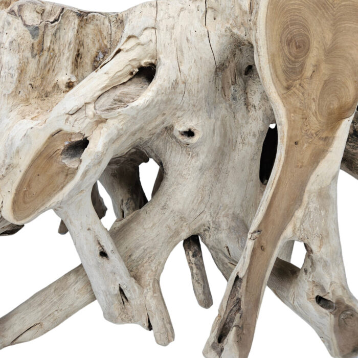 3-Teak-Organic-Root-Coffee-Table.jpg