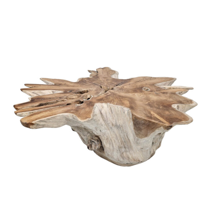 32-Teak-Root-Star-Side-Table.jpg
