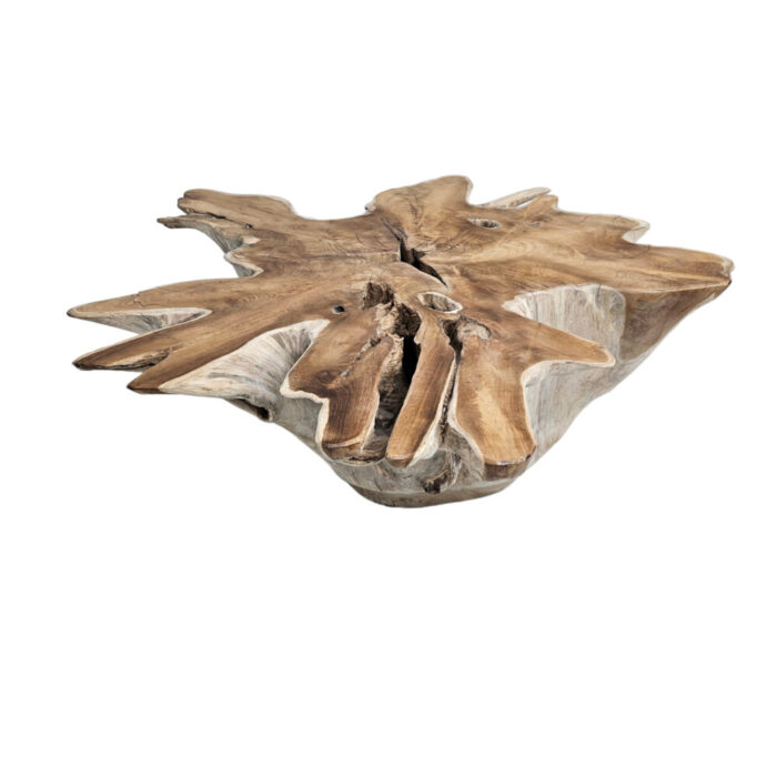 35-Teak-Root-Star-Side-Table.jpg