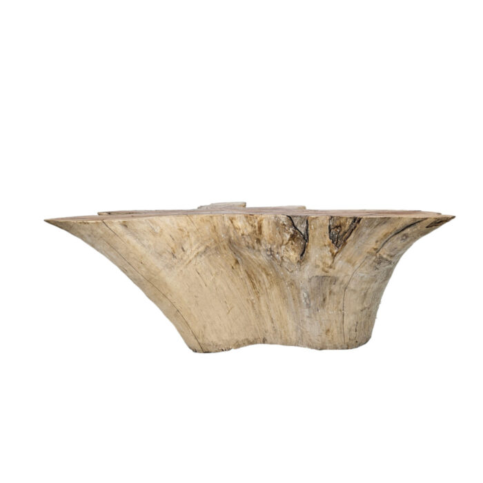 36-Teak-Root-Star-Side-Table.jpg