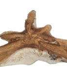38-Teak-Root-Star-Side-Table.jpg