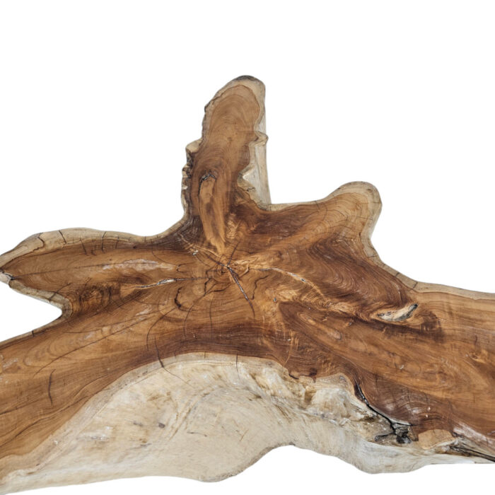38-Teak-Root-Star-Side-Table.jpg