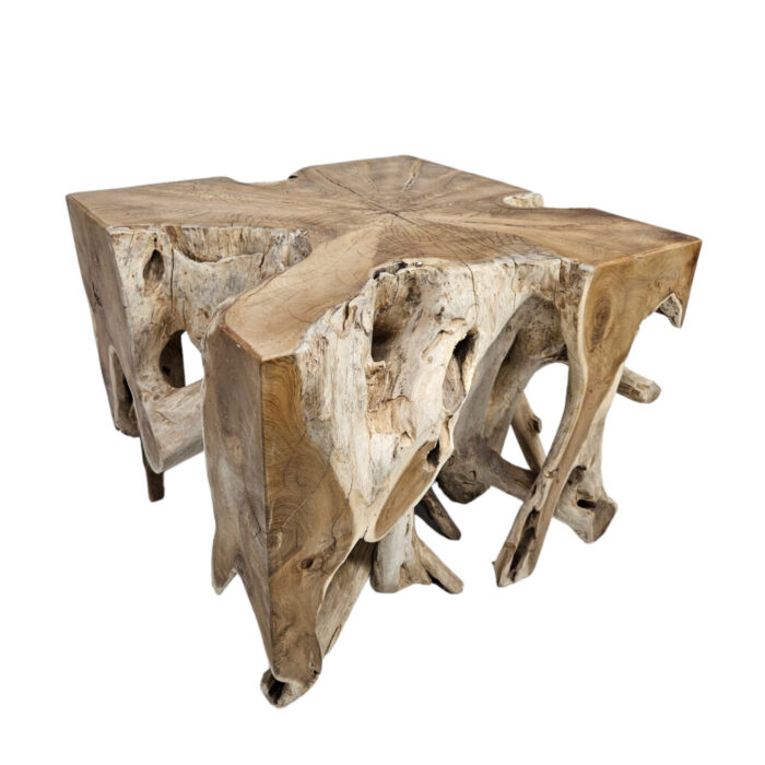 4-Teak-Organic-Root-Coffee-Table.jpg