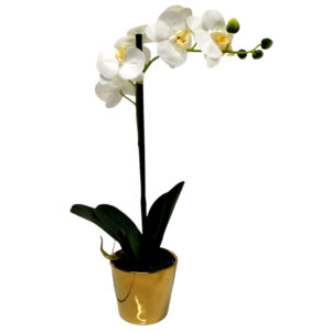 Faux White Orchid In Pot