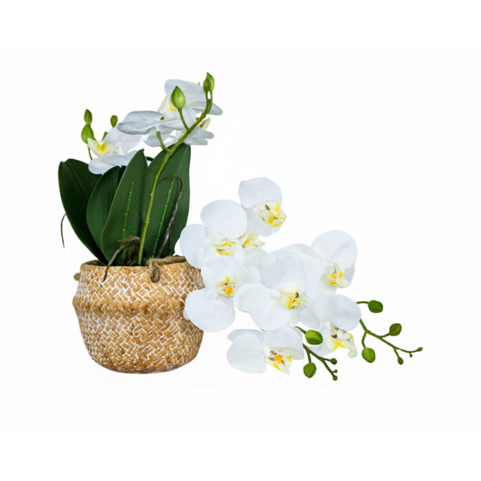 5-1-19.jpg 5-1-19.jpg