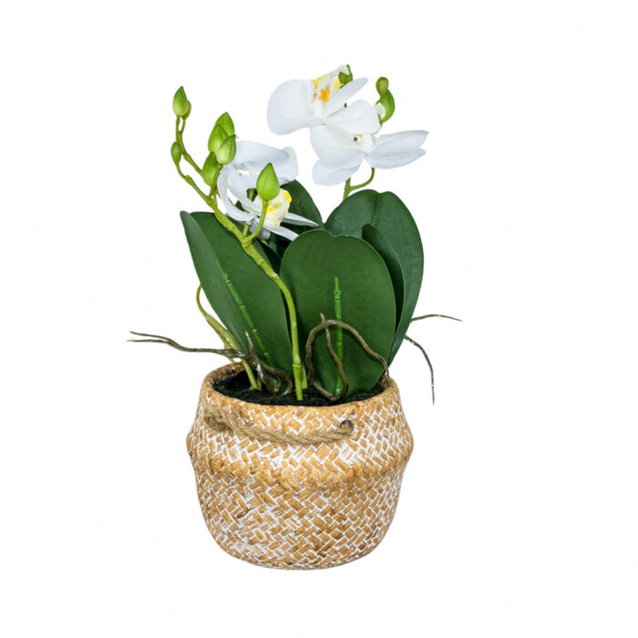 6-1-19.jpg 6-1-19.jpg