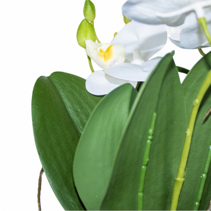 7-1-17.jpg 7-1-17.jpg