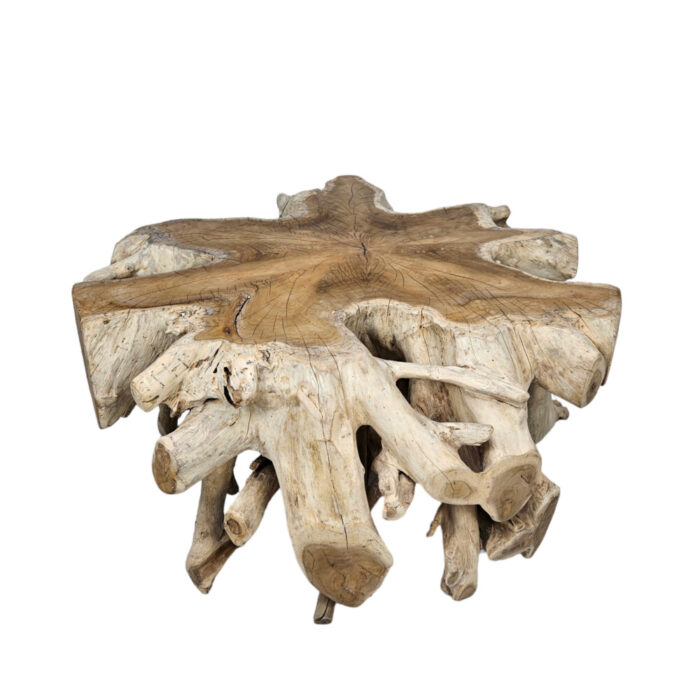 9-Teak-Organic-Root-Coffee-Table.jpg