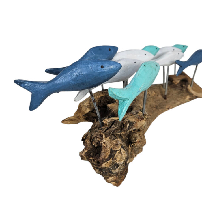 Blues-Fish-Swimming-On-Driftwood-Close-Up.jpg