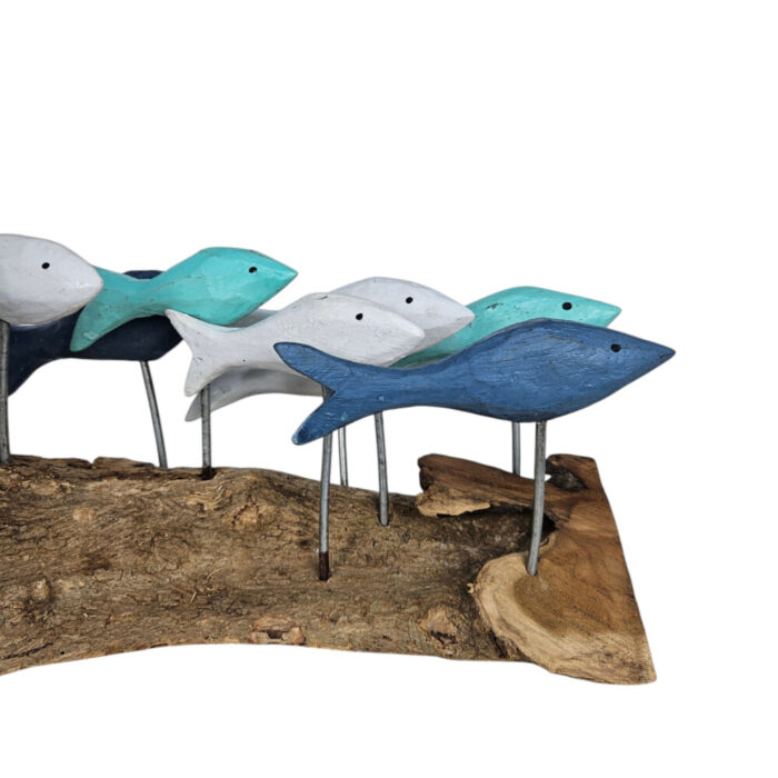 Blues-Fish-Swimming-On-Driftwood-Close-Up-Front.jpg