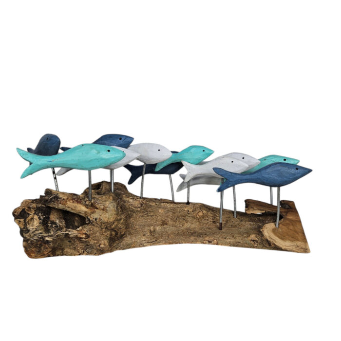 Blues-Fish-Swimming-On-Driftwood-Main.jpg