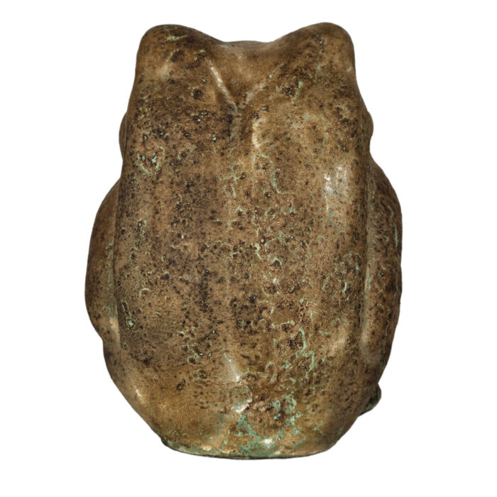 Brown-Frog-Sitting-Back.jpg