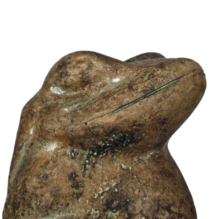 Brown-Frog-Sitting-Close-Up.jpg