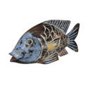Carved-Blue-Face-Fish-40-cm-Side.jpg