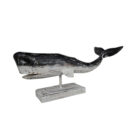 Carved-Whale-On-Stand-50cm-Main.jpg