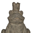 Cement-Frog-With-Crown-Close-Up-Top.jpg