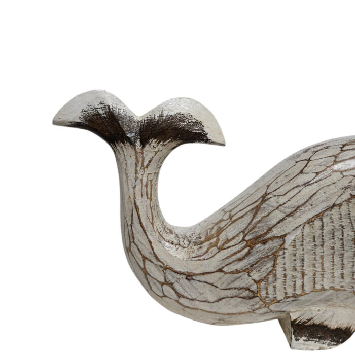Cute-Whale-Medium-Close-Tail.jpg