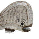 Cute-Whale-Medium-Close-Up.jpg