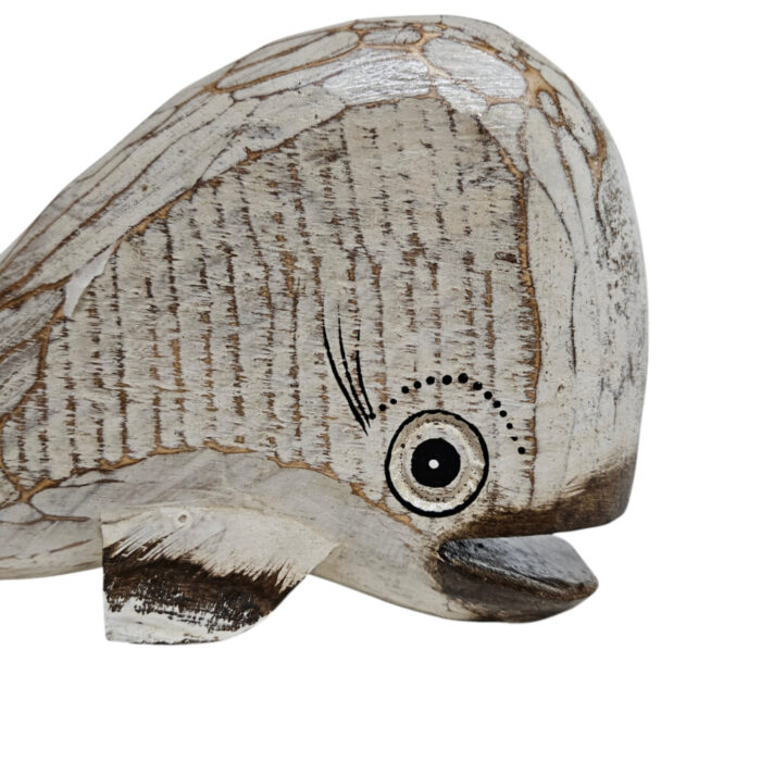 Cute-Whale-Medium-Close-Up.jpg