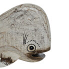 Cute-Whale-Small-Close-Up.jpg