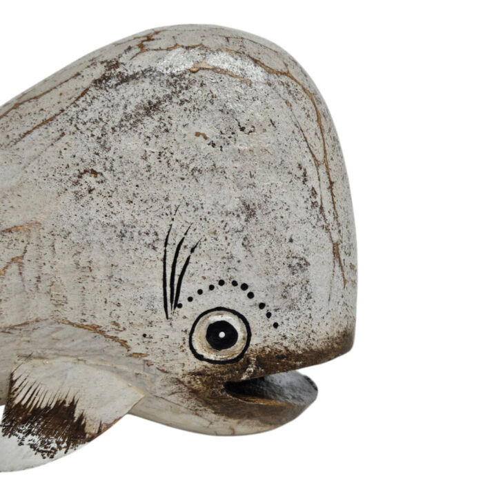Cute-Whale-Small-Close-Up.jpg