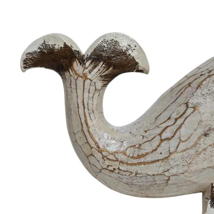 Cute-Whale-Small-Tai.jpg