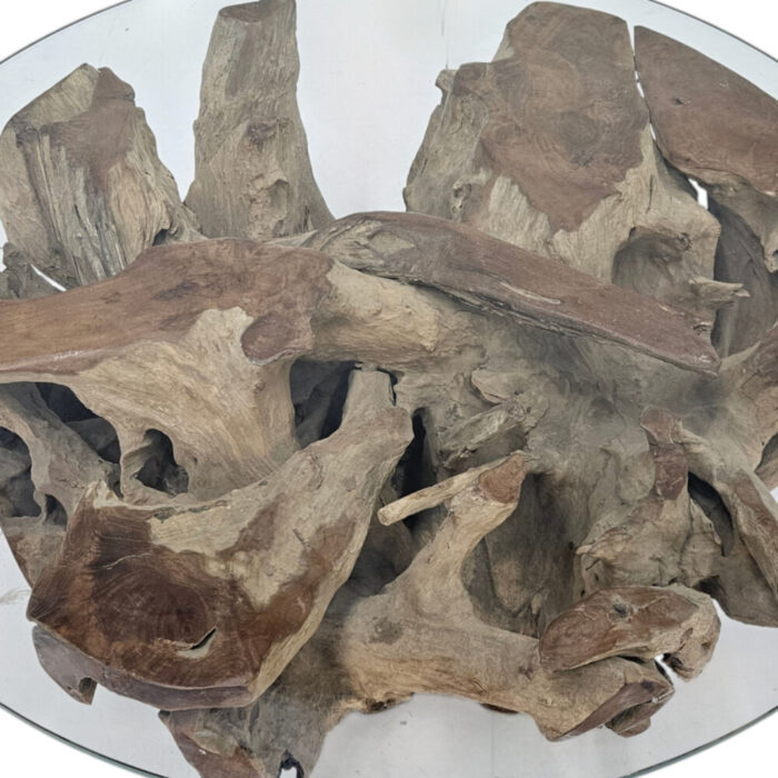 Erosi-Root-Coffee-Table-INJ3400A10-Close.jpg