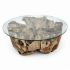 Erosi-Root-Coffee-Table-INJ3400A12-Main.jpg