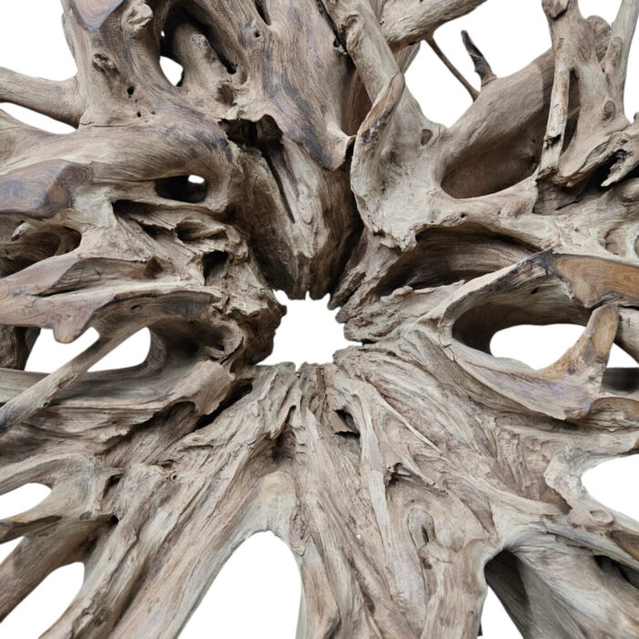 Erosi-Root-Coffee-Table-INJ3650A4-Close.jpg