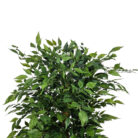 Faux-Ficus-Tree-Close-Up.jpg