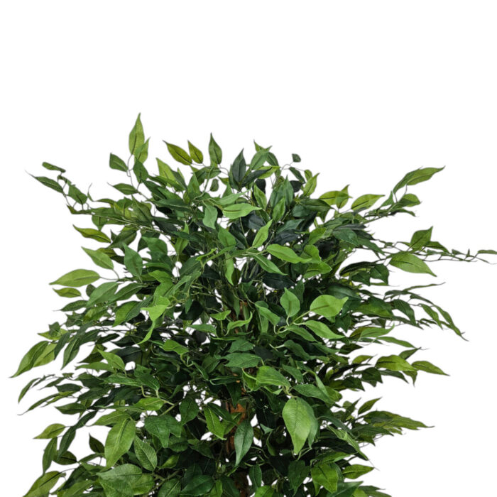 Faux-Ficus-Tree-Close-Up.jpg