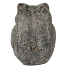 Grey-Frog-Sitting-Back.jpg