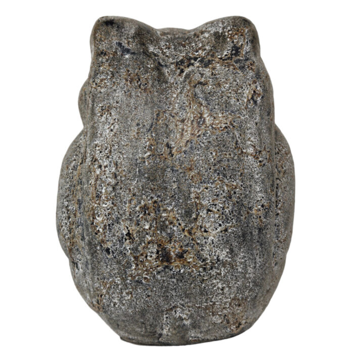 Grey-Frog-Sitting-Back.jpg