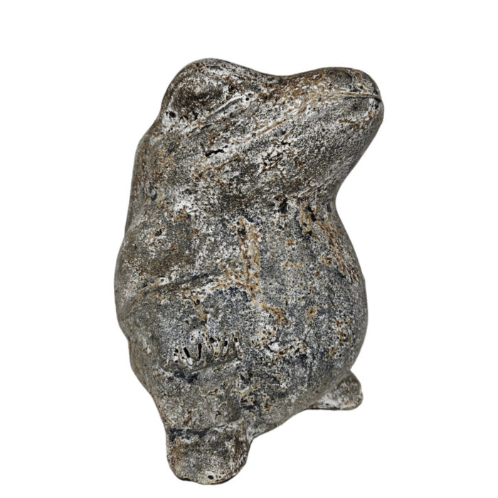 Grey-Frog-Sitting-Side.jpg