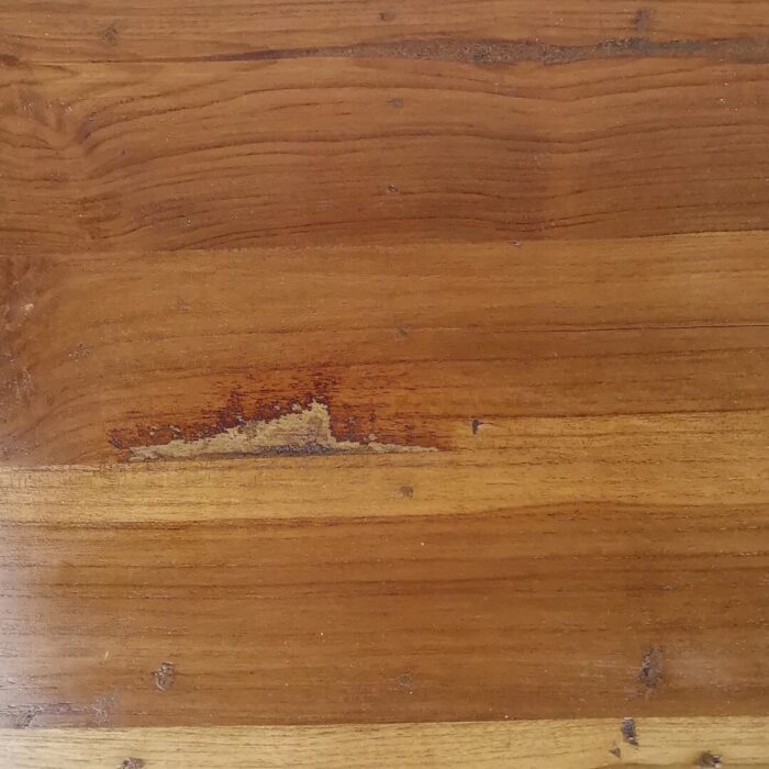 IMG_20220810_142748.jpg IMG_20220810_142748.jpg