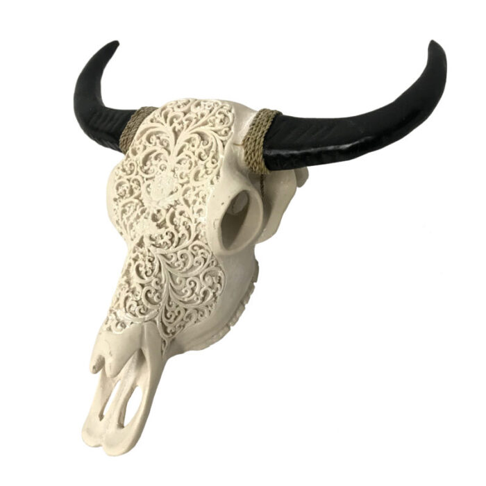 IMG_6475-e1564654189696.jpg IMG_6475-e1564654189696.jpg