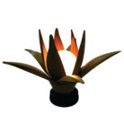 LAMP-5.1-e1584369950530.jpg
