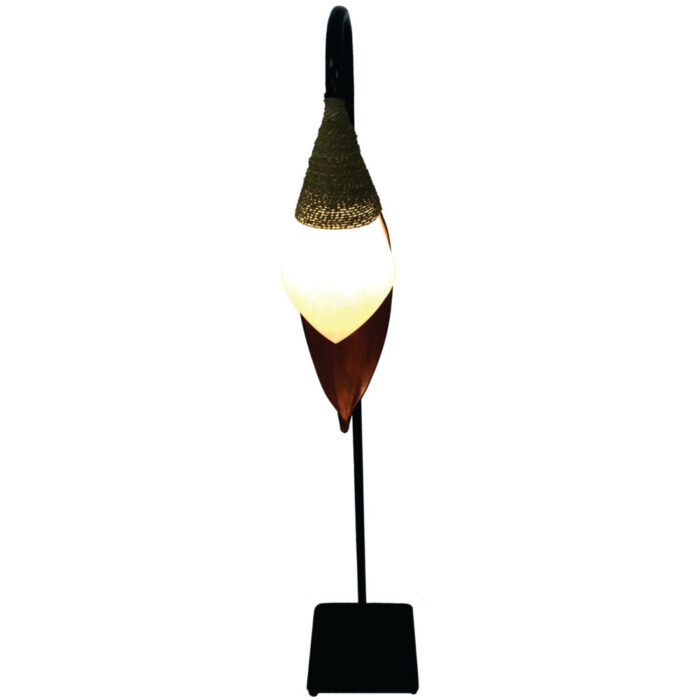 LAMP-7-e1584610539280.jpg