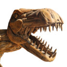 Life-size-driftwood-dino2.jpg