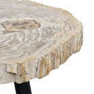Natural-Petrified-Stone-Table-Close-Up-SideBUK9500.jpg